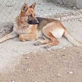 D 75f7dfea 3bff 4fd8 a861 db9eafab203c