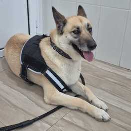 D e9c6e3df d188 46c0 8b8d c5ef76b9a0c2