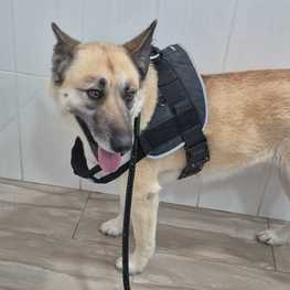 D 1d369c94 ad8d 498b a510 d71f6662f56b