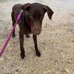 D 6ba685e2 442f 4616 be3c c75695cf01fc