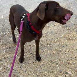 D 58c707d4 dea6 4912 99fd bc9d18bf265a