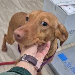 D 1a25e269 26a1 4353 90a9 4082caa042bb