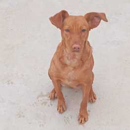 D 1132ca14 e5ea 494d b2f6 909e35bdbdde