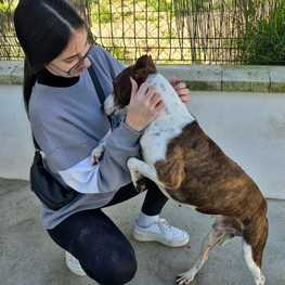 D 9274e3c8 3a5b 4098 8431 76cc360338b9