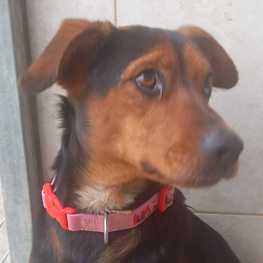 D 918b8994 6d91 4b4d ac87 95b07e95889a