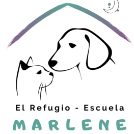 D b6e42090 ebe3 4ef9 a165 ed6686b27363