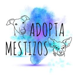 D a42217fc 2cb3 4e02 8348 5a6ad7cc996d