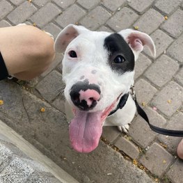 D aa92fcd4 4555 4472 8802 76b091025072